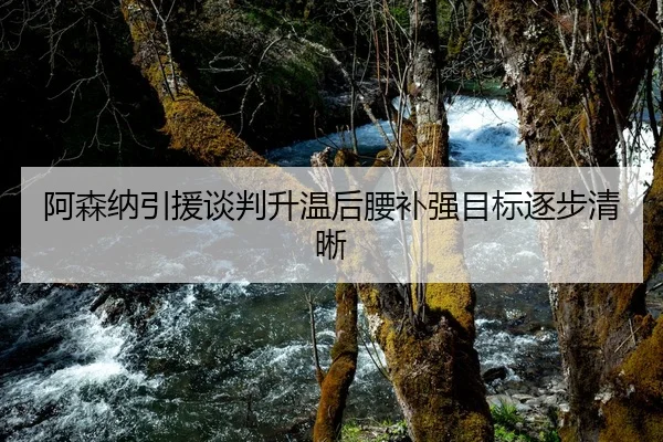 阿森纳引援谈判升温后腰补强目标逐步清晰